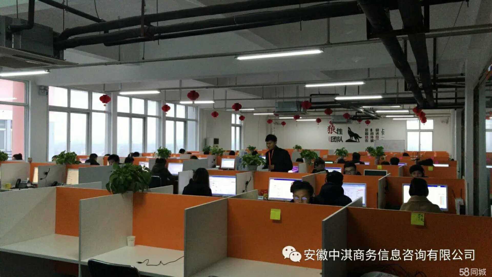 專業賦能，智慧同行——安徽中淇商務信息咨詢服務解析
